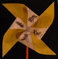 pinwheel, Kelly Nelson
